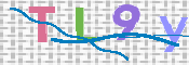 CAPTCHA Bild
