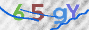 CAPTCHA Bild
