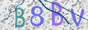 CAPTCHA Bild