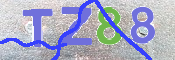 CAPTCHA Bild