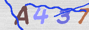 CAPTCHA Bild