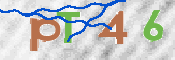 CAPTCHA Bild