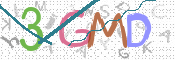 CAPTCHA Bild