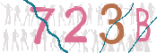 CAPTCHA Bild