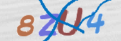 CAPTCHA Bild