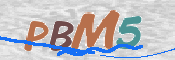 CAPTCHA Bild