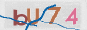 CAPTCHA Bild