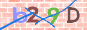 CAPTCHA Bild