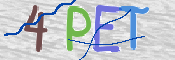 CAPTCHA Bild