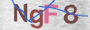 CAPTCHA Bild