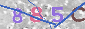 CAPTCHA Bild