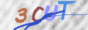 CAPTCHA Bild