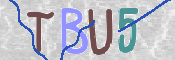 CAPTCHA Bild