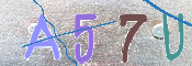 CAPTCHA Bild