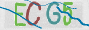 CAPTCHA Bild