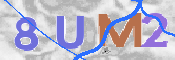 CAPTCHA Bild