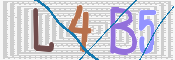 CAPTCHA Bild