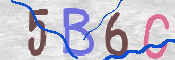 CAPTCHA Bild