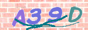 CAPTCHA Bild