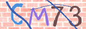 CAPTCHA Bild