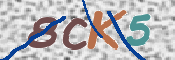CAPTCHA Bild