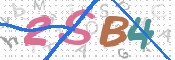 CAPTCHA Bild
