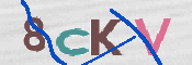 CAPTCHA Bild