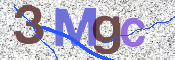 CAPTCHA Bild