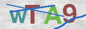 CAPTCHA Bild