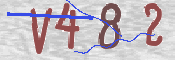 CAPTCHA Bild