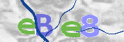 CAPTCHA Bild