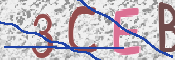 CAPTCHA Bild